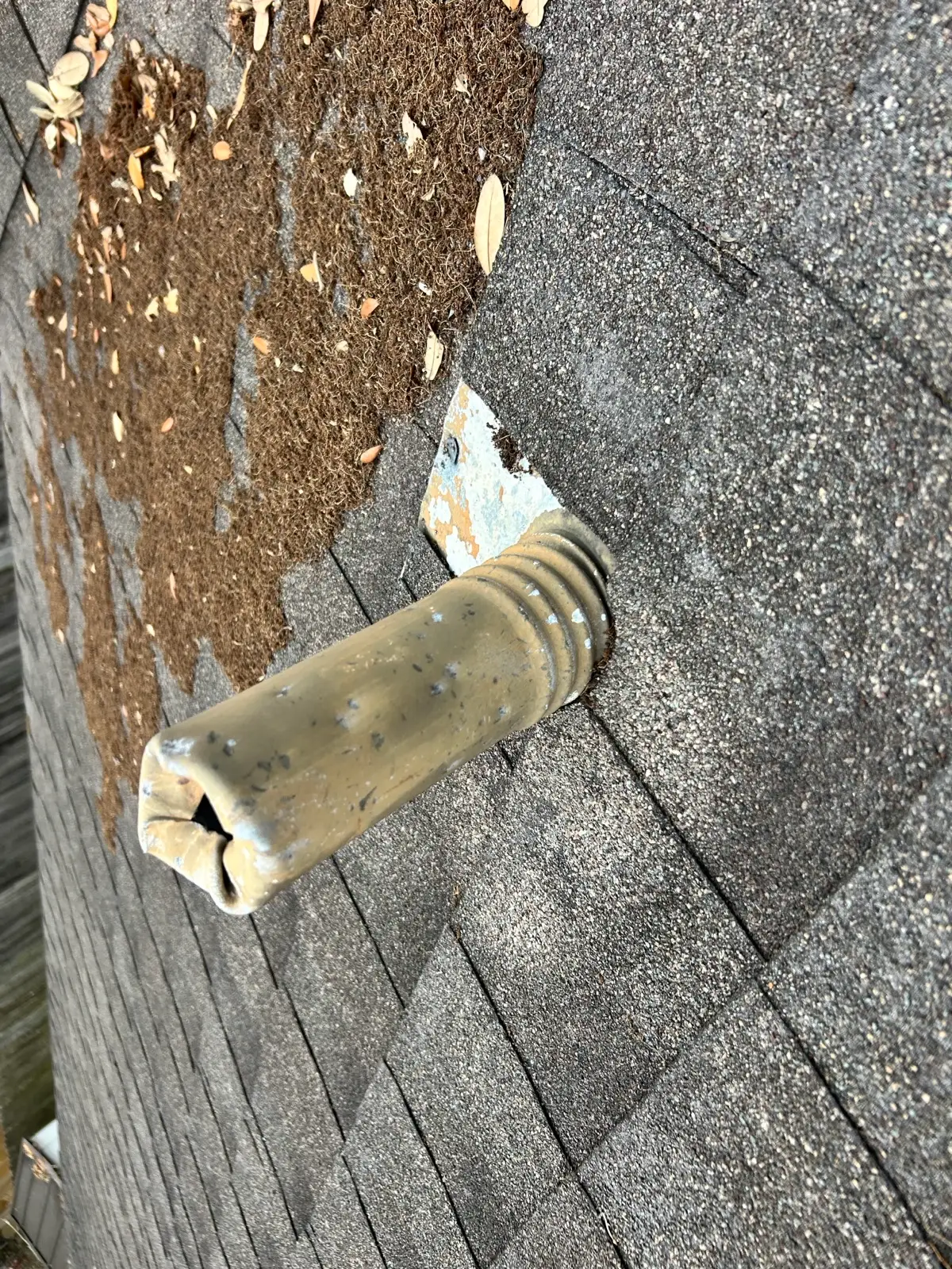 June 10. A vent pipe, split and crushed.