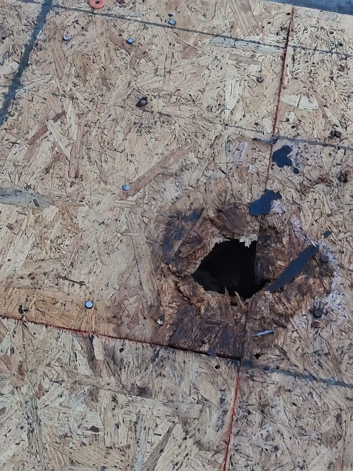 November 5. A rotted section of decking, holed clean through.