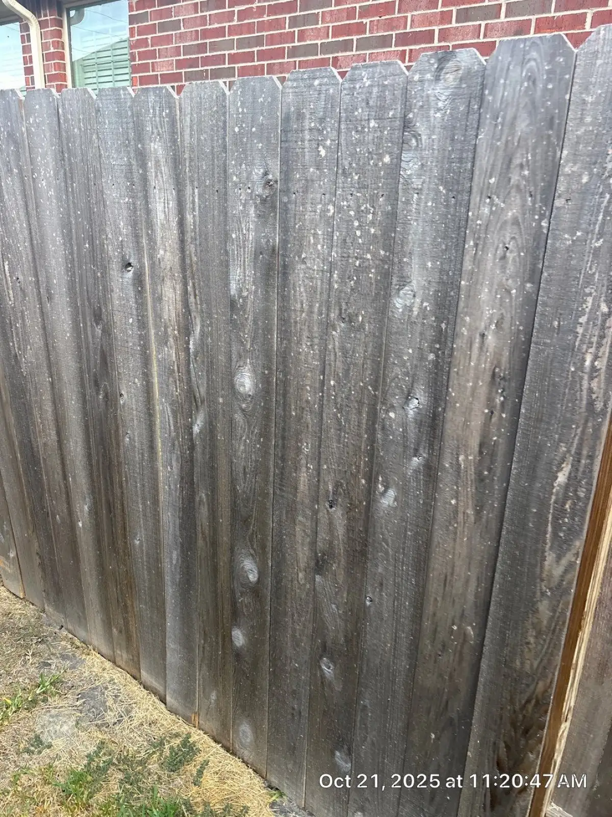 October 21. The fence line, weathered and impact-marked — noted for the scope.