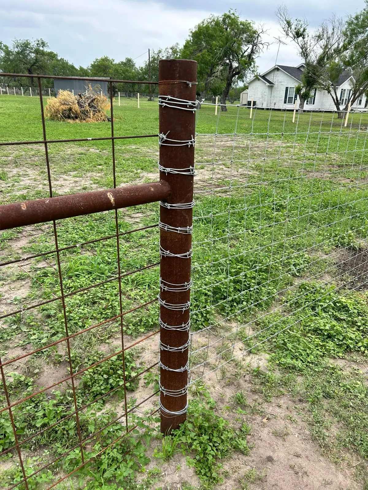 April 30. New woven wire tied off at the old steel corner post.