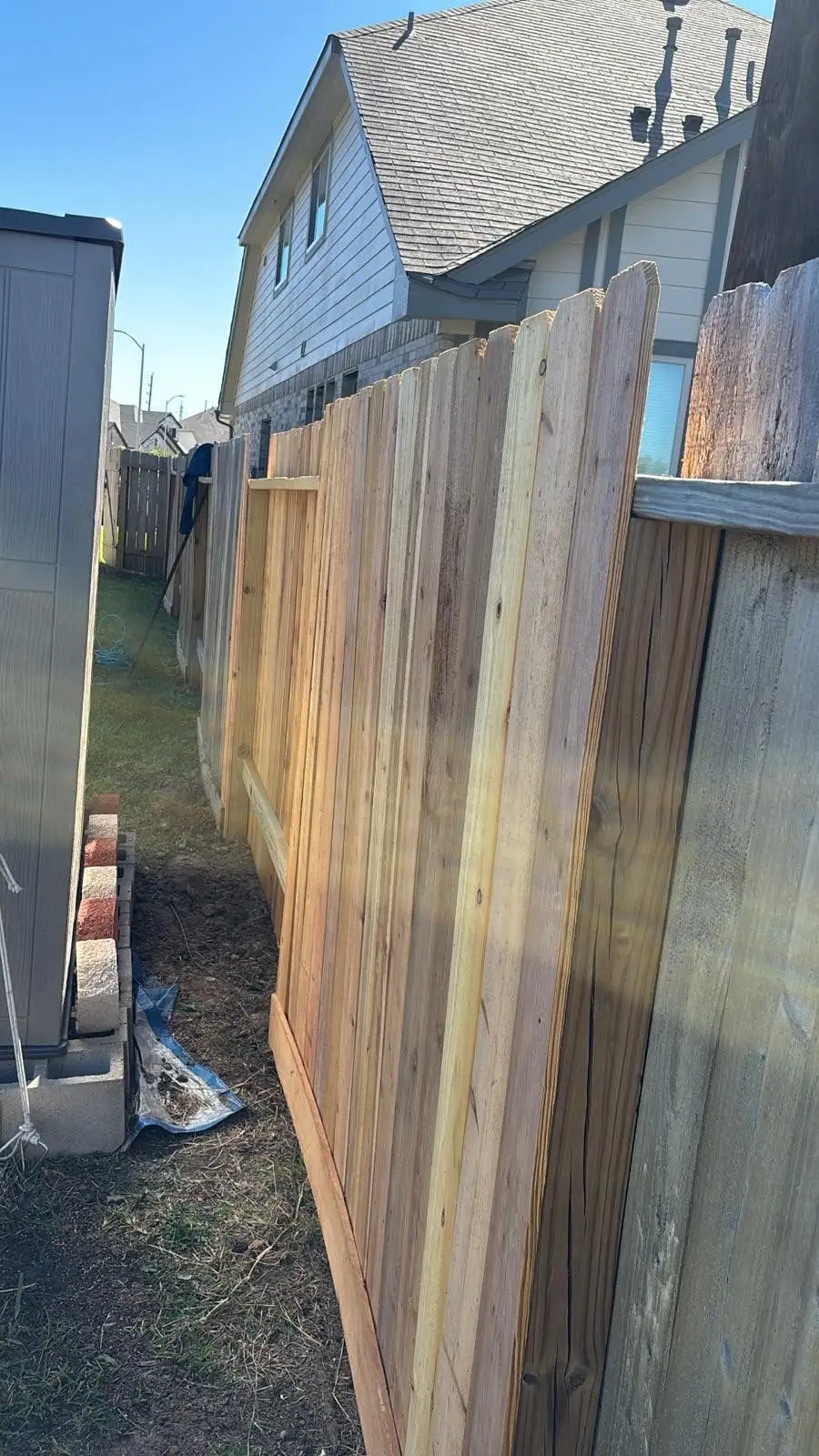 November 10. The new cedar run going in beside the old grey fence.