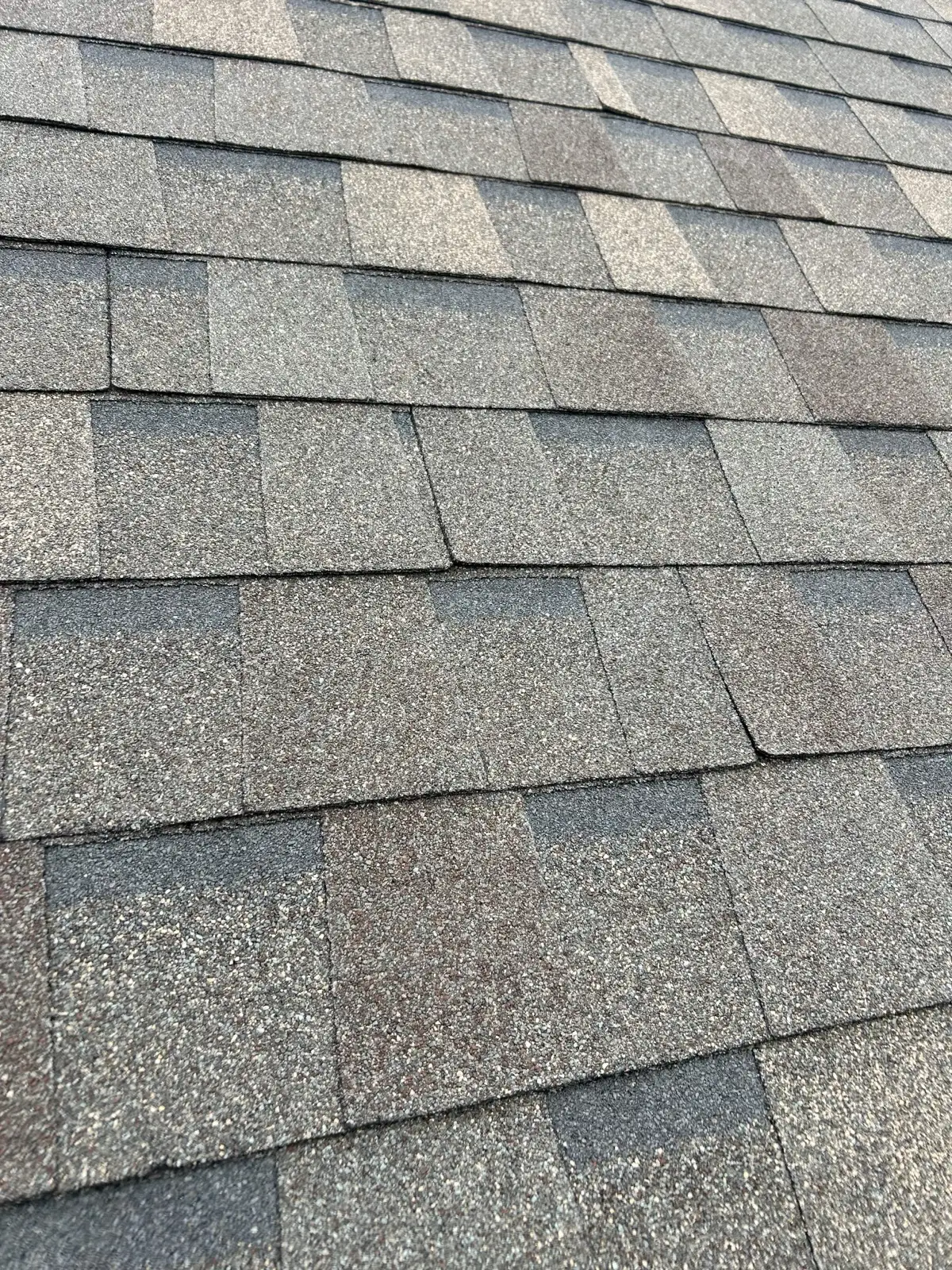 October 17. New shingles on, straight courses — the same day the old roof came off.