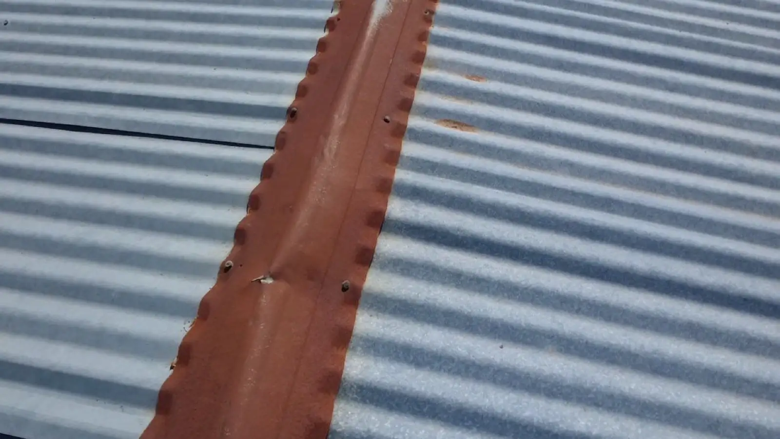 November 14. Up on the old metal — a rusted-through ridge cap, oxidized panels.