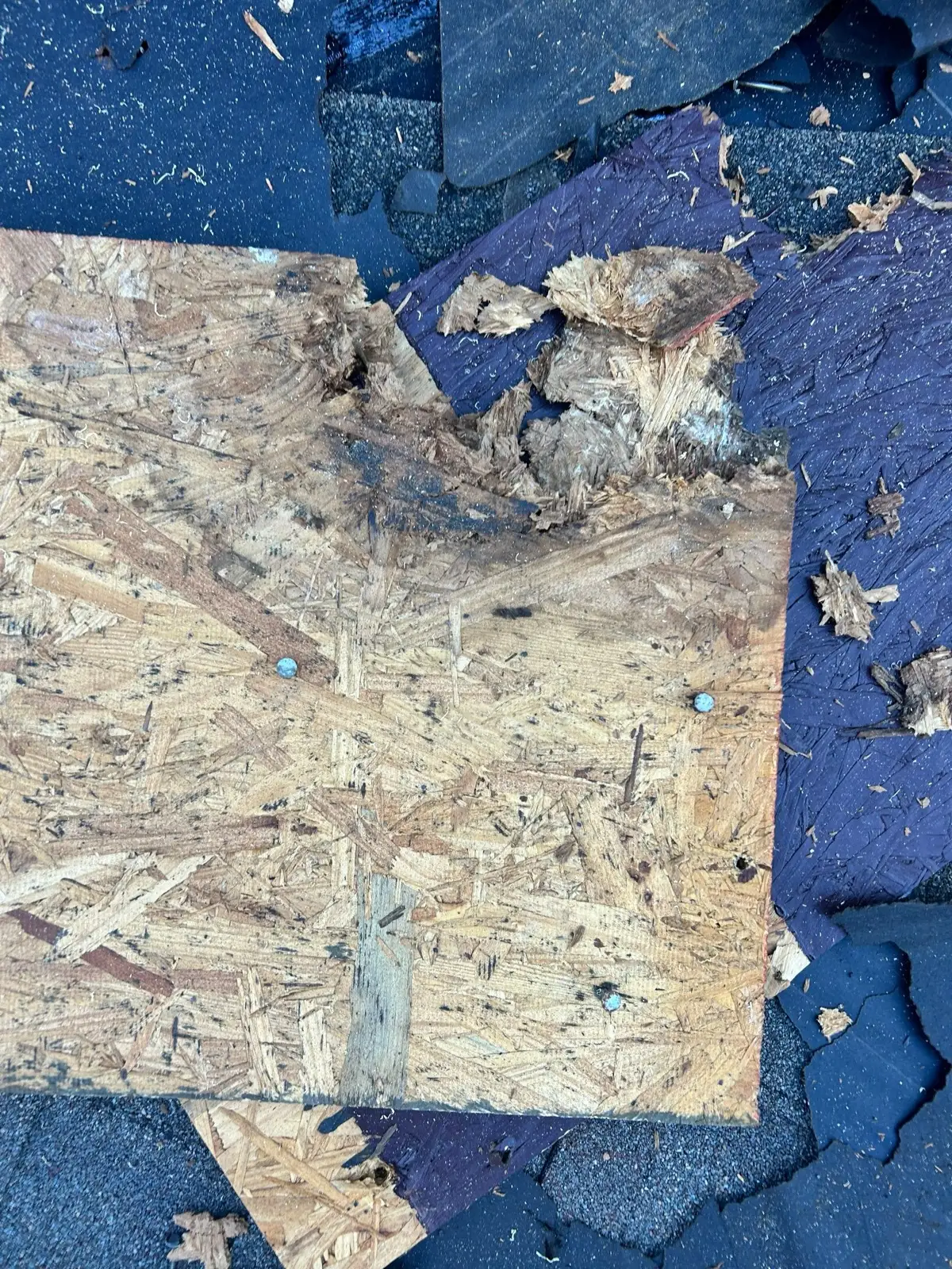 November 4. Rot in the torn-off decking — the reason tear-offs beat overlays.