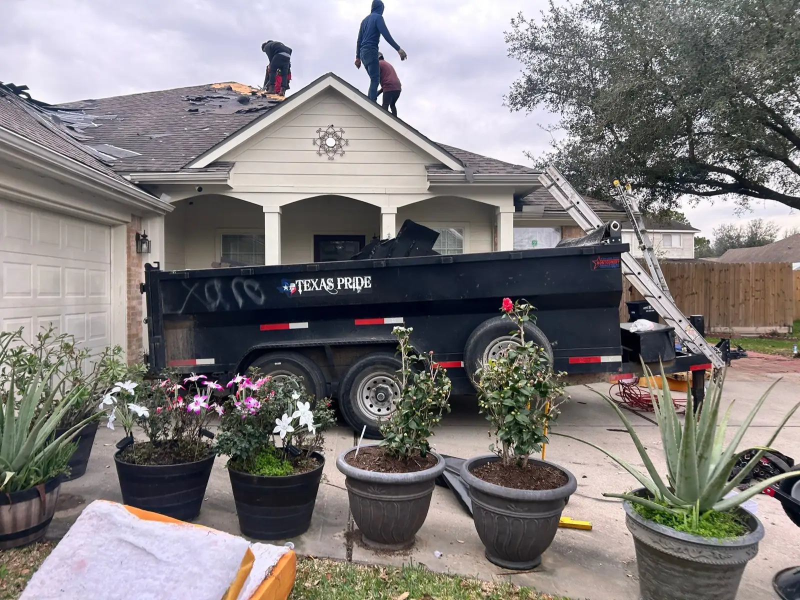 January 13. The trailer backed to the porch, potted plants moved clear, crew on the ridge.