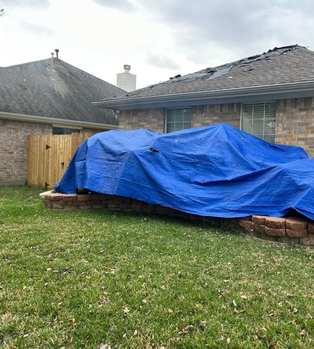 January 13. The flowerbeds under tarps, tear-off already opening the roof above.